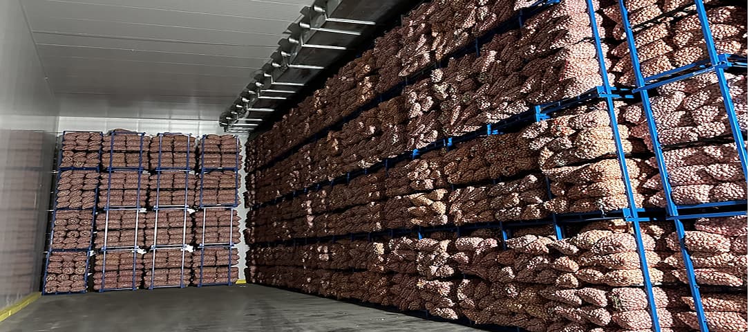 Garlic Cold Storage